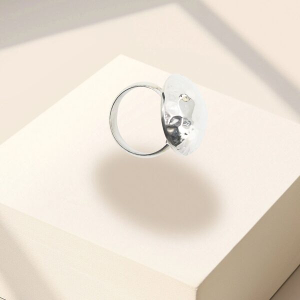 Anillo 01